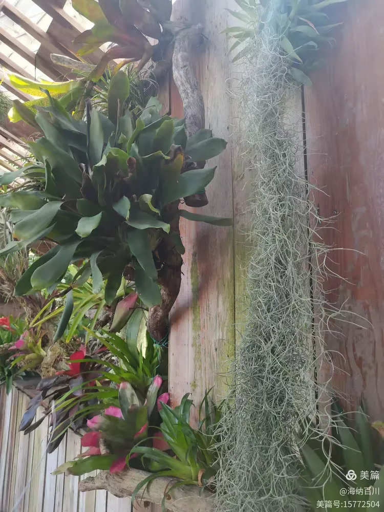 上海辰山植物园游记